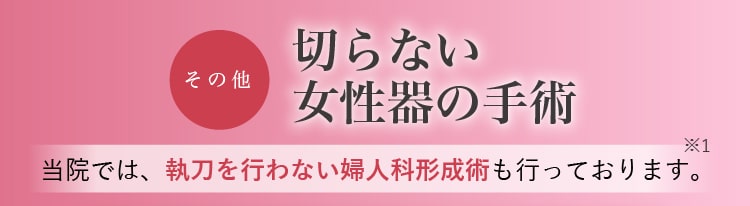 小陰唇縮小術の料金